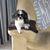 Jerry Carolyn Elder's profile image