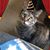 Lucille A. Young's profile image