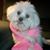 Monique Stiles Meinders's profile image