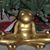 Janet Lynne Kincer's profile image