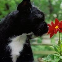 Cindy Hacker's profile image