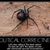Glenna Ridgway's profile image