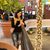 Nikki Kaur's profile image