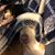 Jody Hutchison's profile image