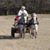 Rosa Finsley's profile image