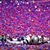 Sheila Biden Shelley's profile image