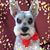 Joan Clawson's profile image