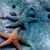 Megann M Zigner's profile image