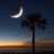Nancy Trahan's profile image