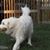Pat Sevigny's profile image