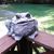 Cathy Welch Davis's profile image