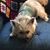 Myra Hafner's profile image