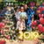 Maria Cristina Tovar's profile image