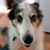 Christopher John Neihardt's profile image