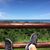 Dave Marovich's profile image