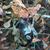 Rachel Jamison's profile image