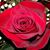 Kendra Collings Santa Cruz's profile image