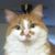 Jim Knight's profile image