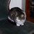 Sally Williams's profile image