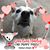 Michelle Madrigal Garrity's profile image