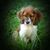 Jill Orcutt's profile image