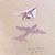 Martha Jeffrey Root's profile image