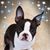 Peggy Hooper Burgess's profile image