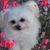 Adam Lofing's profile image