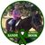 Emina Cook's profile image