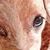 Anne Markle's profile image