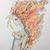 Debi Ann's profile image
