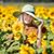 Melissa Long Shepherd's profile image