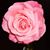 Jelle Schnitzeler's profile image