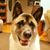 Jason Beake's profile image