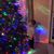 Susan Pluck's profile image