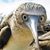 Timothy Elston's profile image