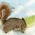 Jeffrey Reed's profile image