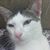 Jim Collins's profile image