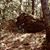 Jorge Humberto Enciso Garcia's profile image