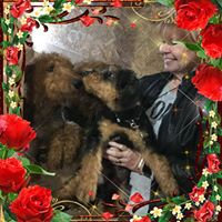 Diane Johnson's profile image