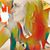Guita Dabiri Kian's profile image