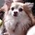 Linda Tomcykoski's profile image