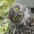 Rich Maxson's profile image