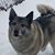Jenice Whisenand's profile image
