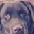 Craig Harris's profile image