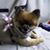 CindyLorraine Brown's profile image