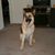 David Granicy's profile image