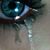 Sue Blevins's profile image