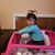Marisol Vasquez's profile image