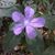 Christina Moore-Hollis's profile image
